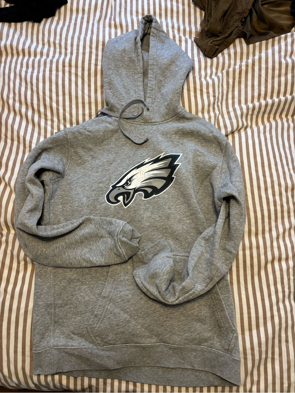 Philadelphia Eagles Gray Pullover Hoodie Nike Sweatshirt